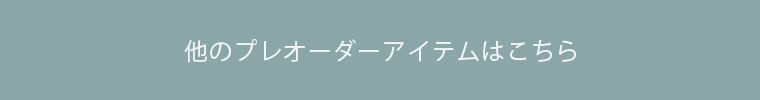 他のプレオーダーアイテム